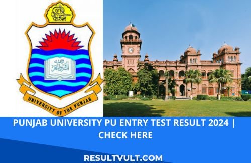 pUMJAB UNIVERSITY ENTERY TEST RESULT 2024